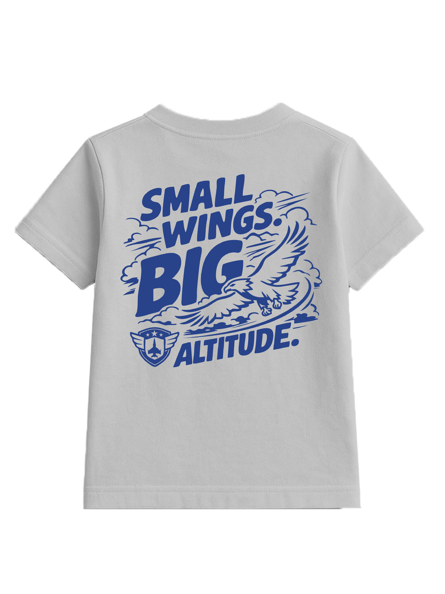 Small Wings, Big Altitude
