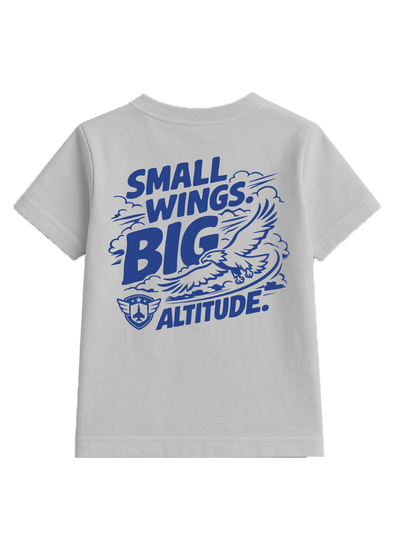 Small Wings, Big Altitude